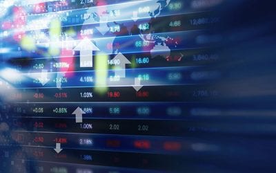 False Information Leading to Investment Losses