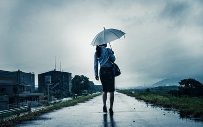 Claims Recipients of Natural Disasters are Financial Fraud Targets